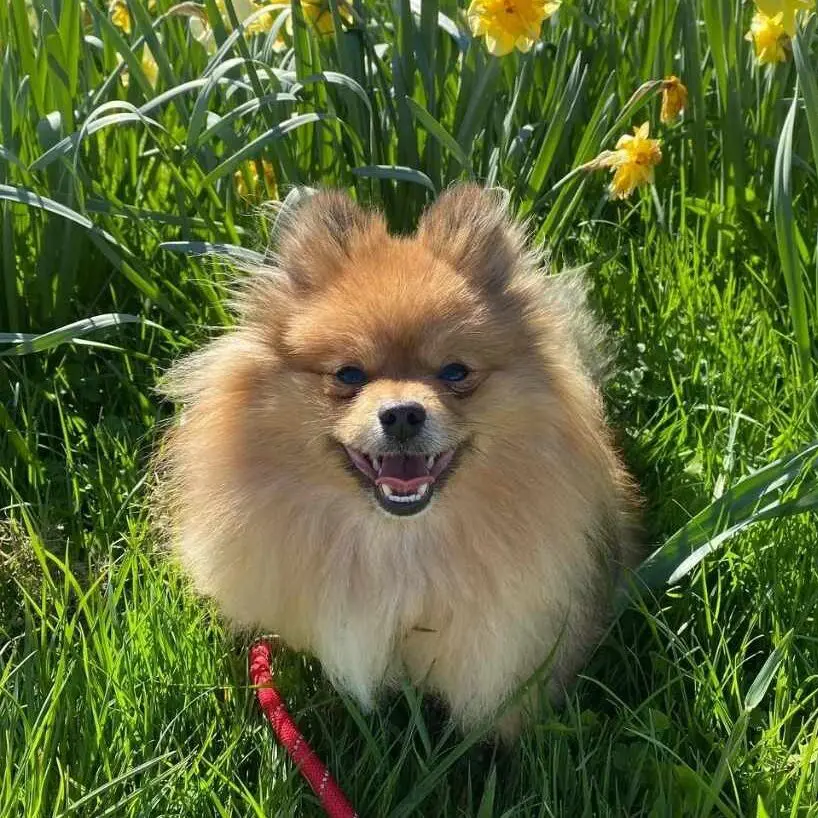 462567718_1102264584833312_9042199604176320121_n