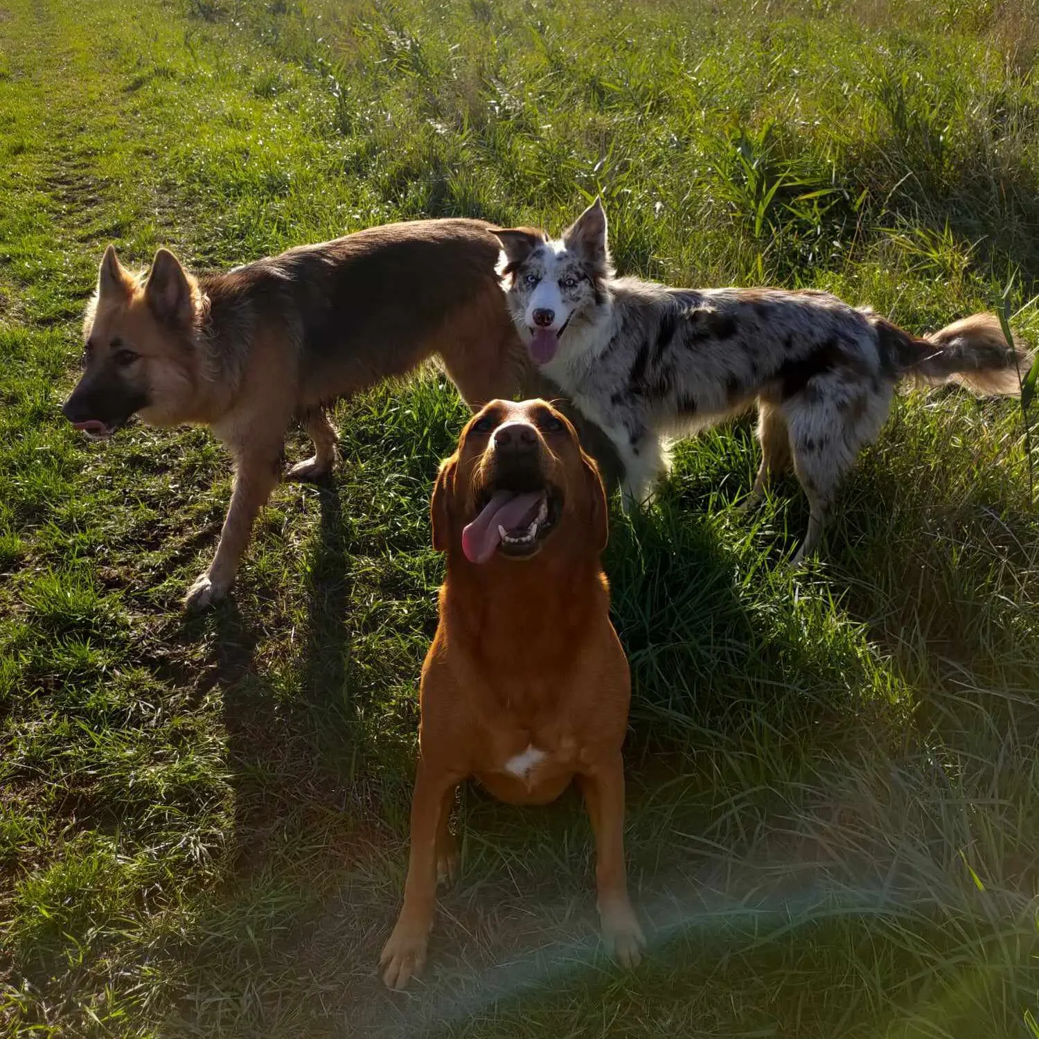 462648077_3001837153299101_8254999716729730569_n